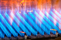 Bronwydd gas fired boilers